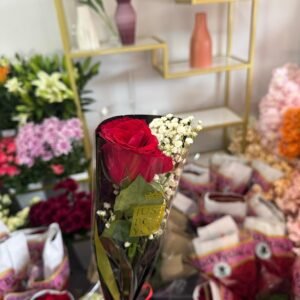 Premium Rose (Tige unique )