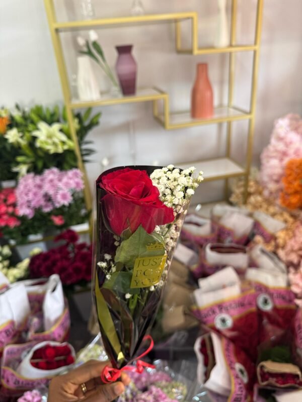 Premium Rose (Tige unique )