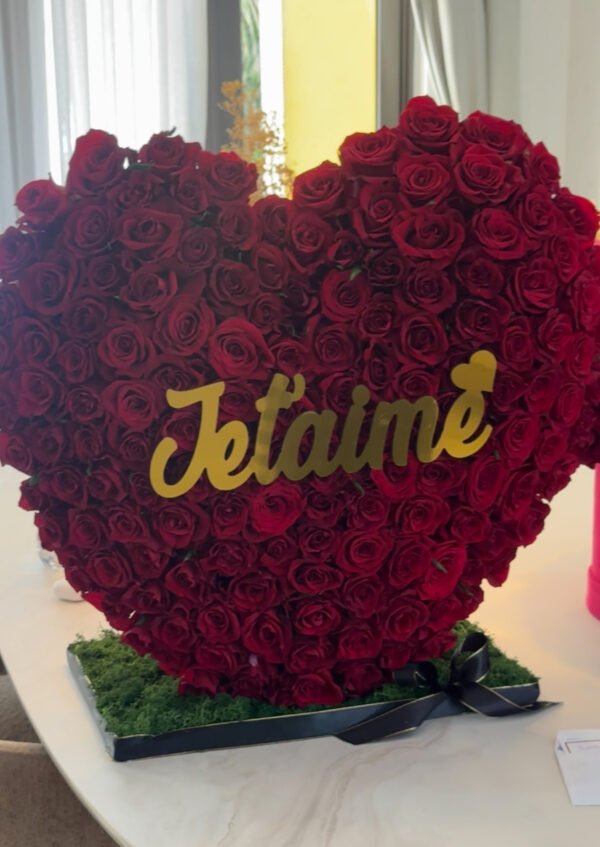 DS Love heart